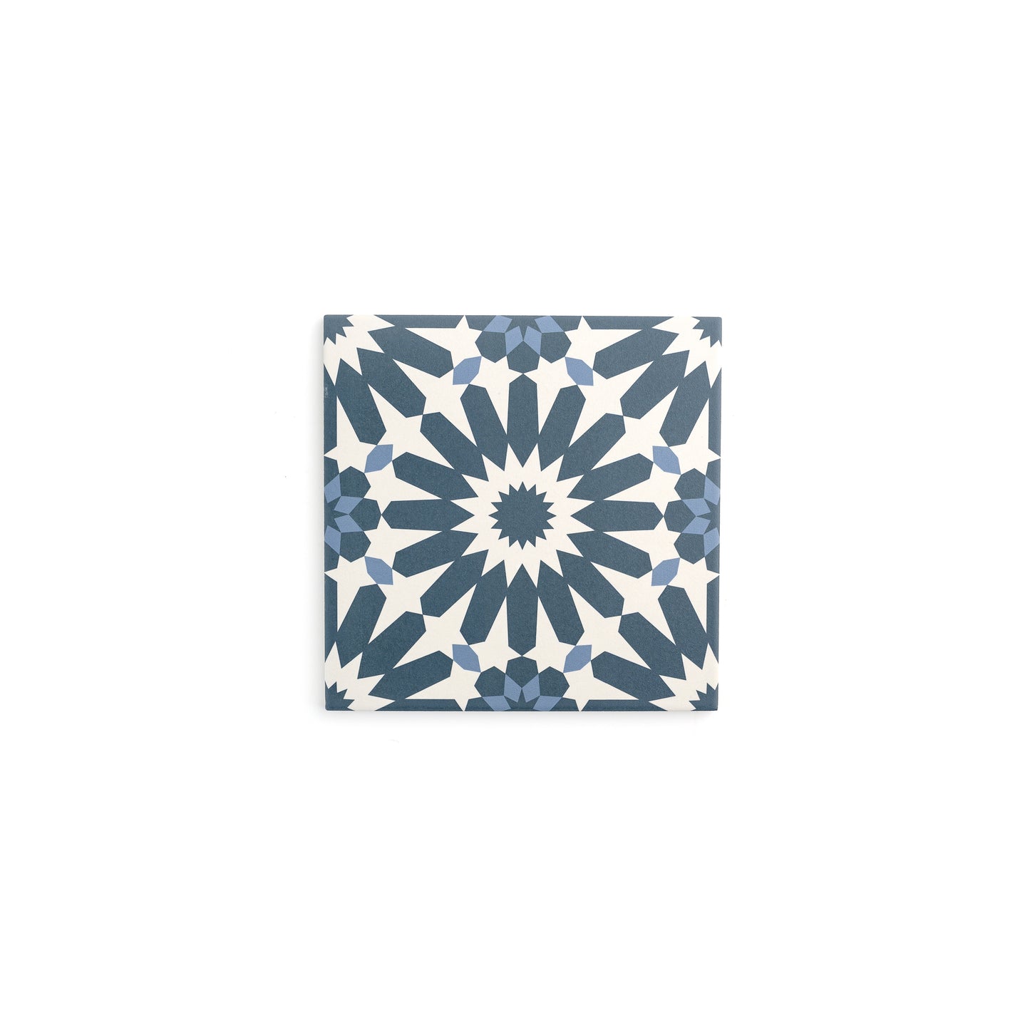 Sample: Erizo Blue Ceramic Tile (1 sample piece)-Sample-Sample-Riad Tile