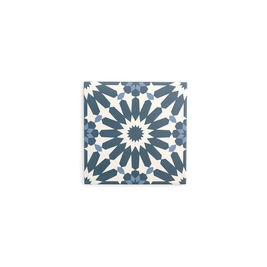 Sample: Erizo Blue Ceramic Tile (1 sample piece)-Sample-Sample-Riad Tile