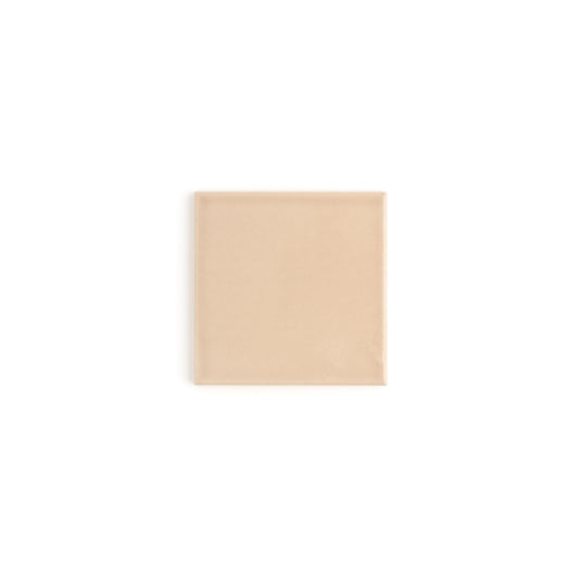 Sample: Khaki 4x4 Ceramic Tile | Glossy (1 sample tile)-Sample-Sample-Riad Tile