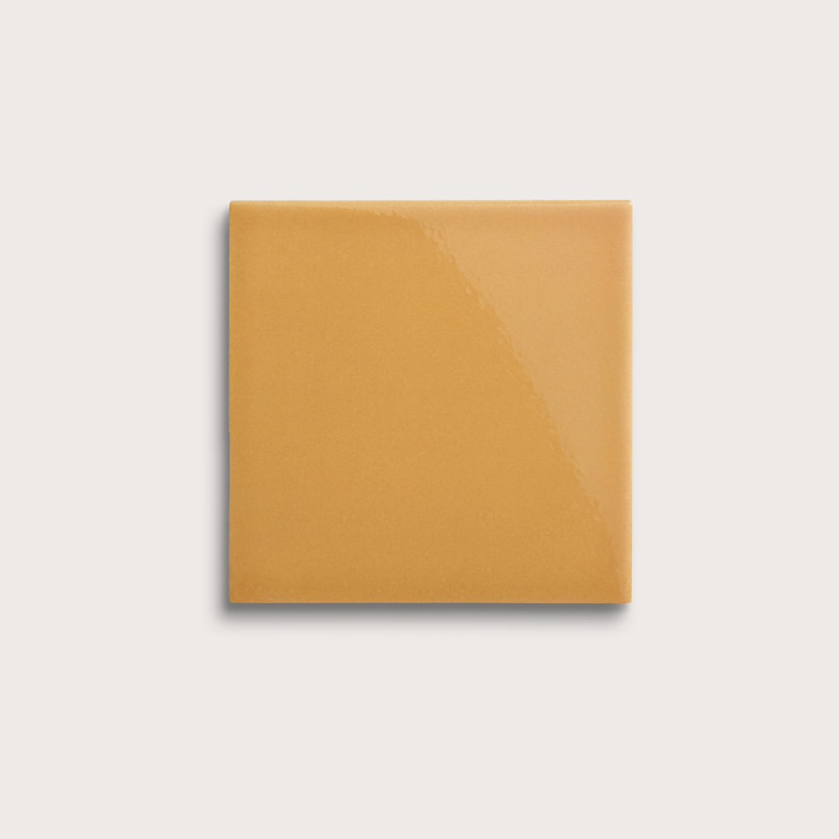 Gambol Gold ceramic tile, 6 by 6 inches, gloss finish