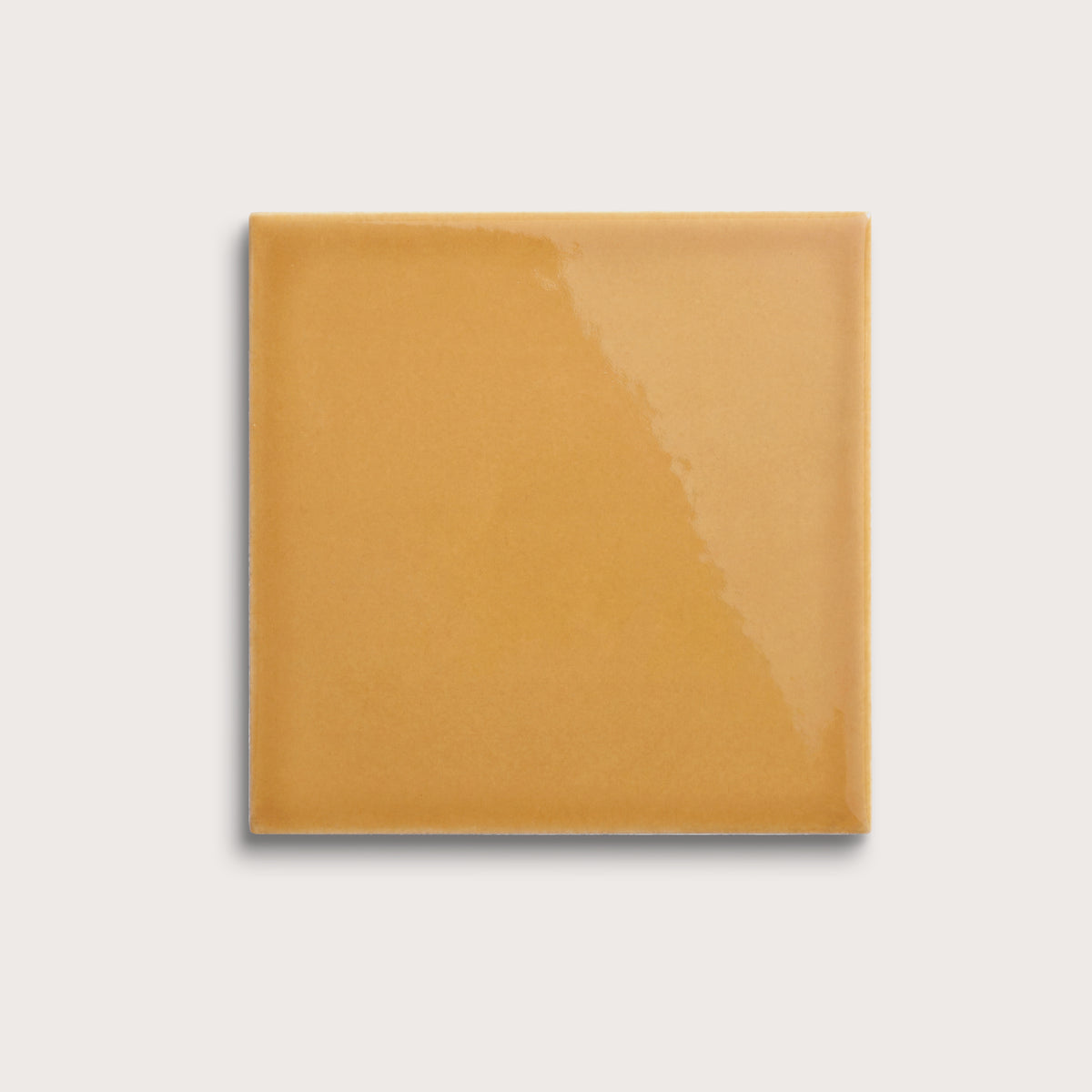 Gambol Gold ceramic tile, 8 by 8 inches, gloss finish