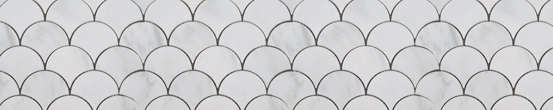 Fishscale Banner