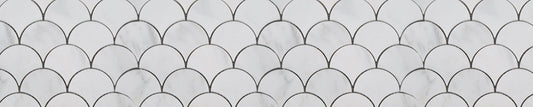 Fishscale Banner