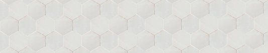 Snow Hex Banner