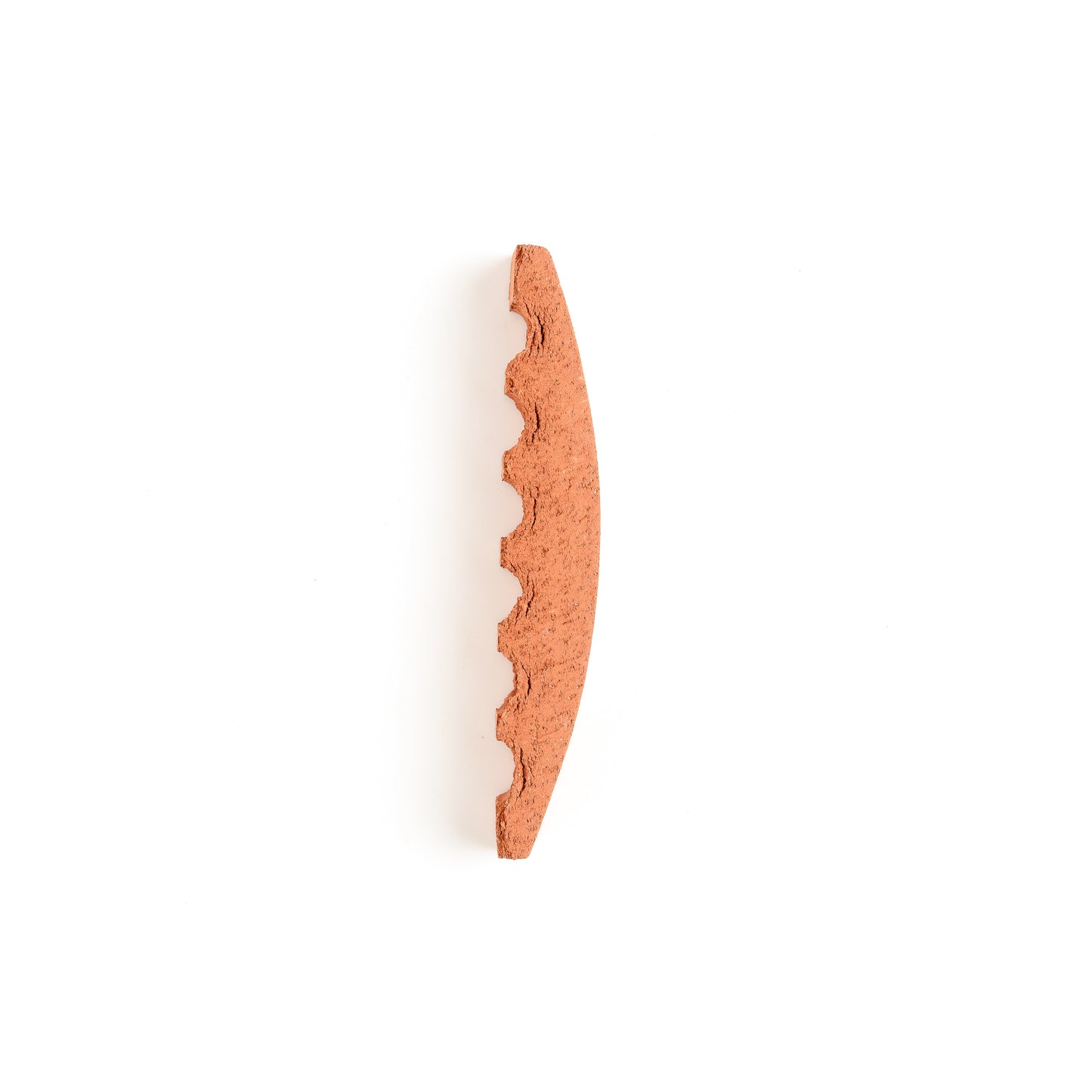 Sample: Arc Biscotti Terracotta (2 sample tiles)-Sample-Sample-Riad Tile