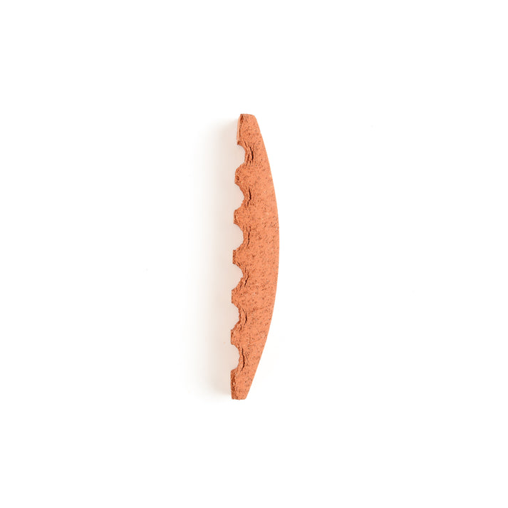 Sample: Arc Biscotti Terracotta (2 sample tiles)-Sample-Sample-Riad Tile