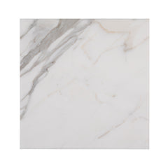 Calacatta Gold 12x12 Marble Tile | Honed