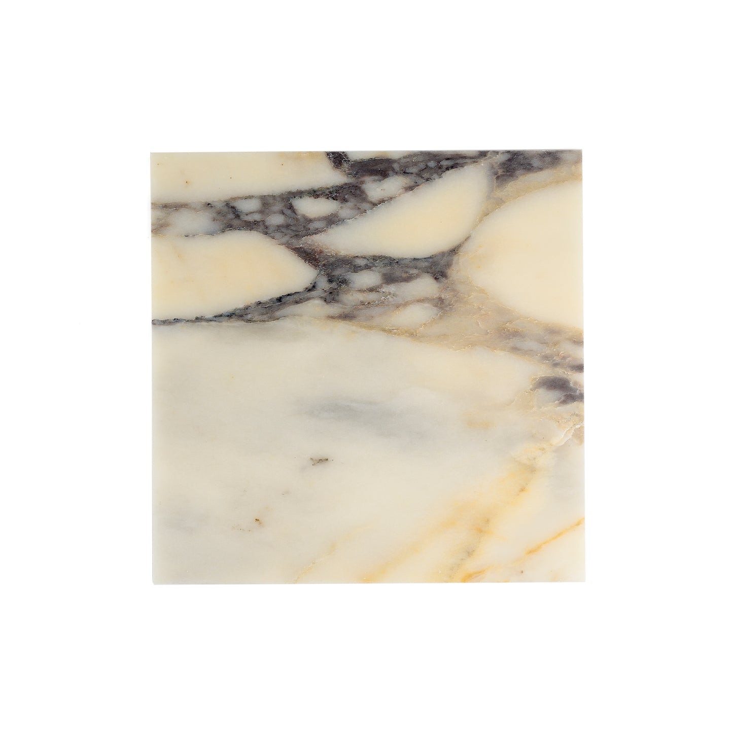 Sample: Calacatta Viola Marble Tile | Honed (1 sample piece)-Sample-Sample-Riad Tile