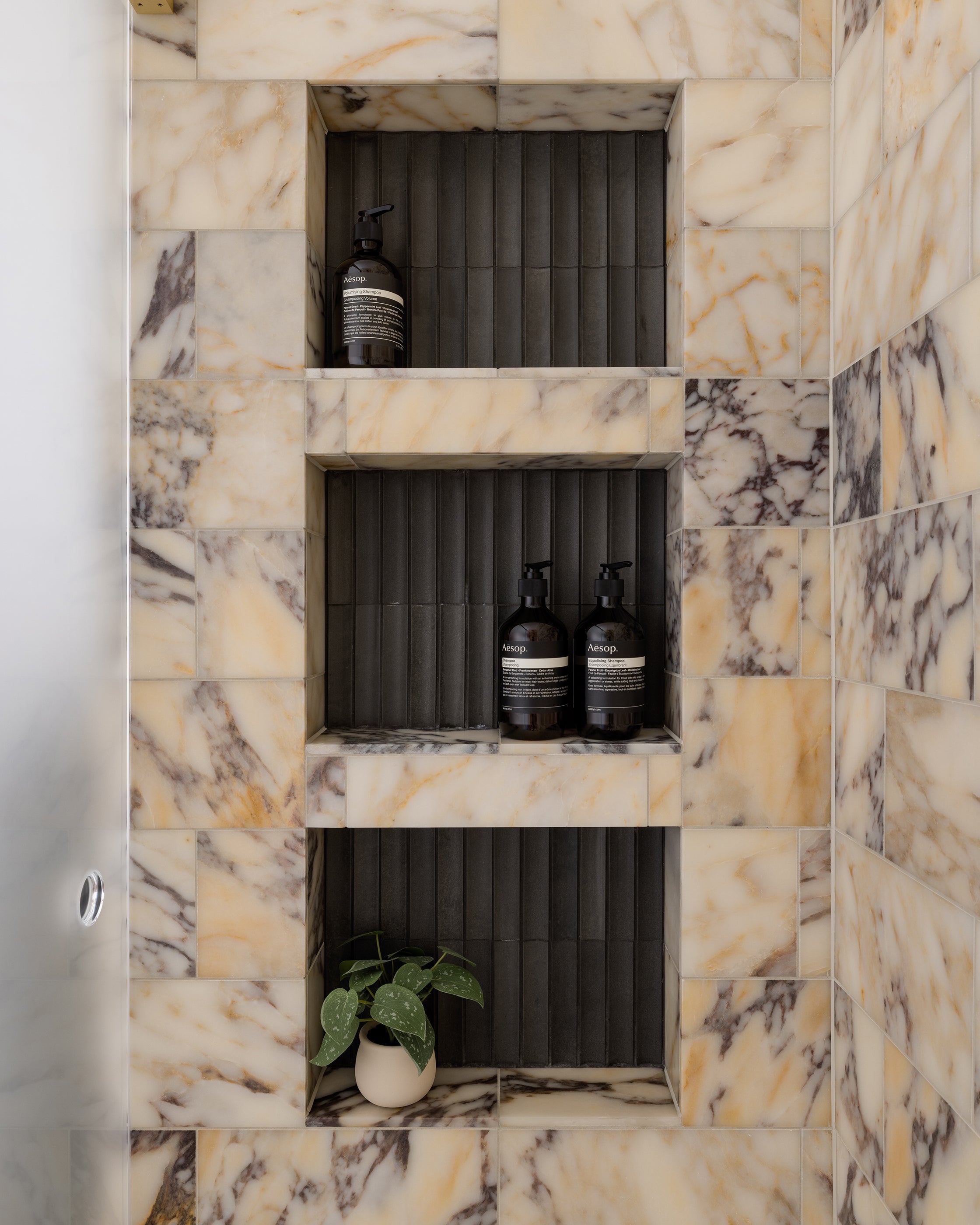 Marble shower niche with Aesop bottles and a plant