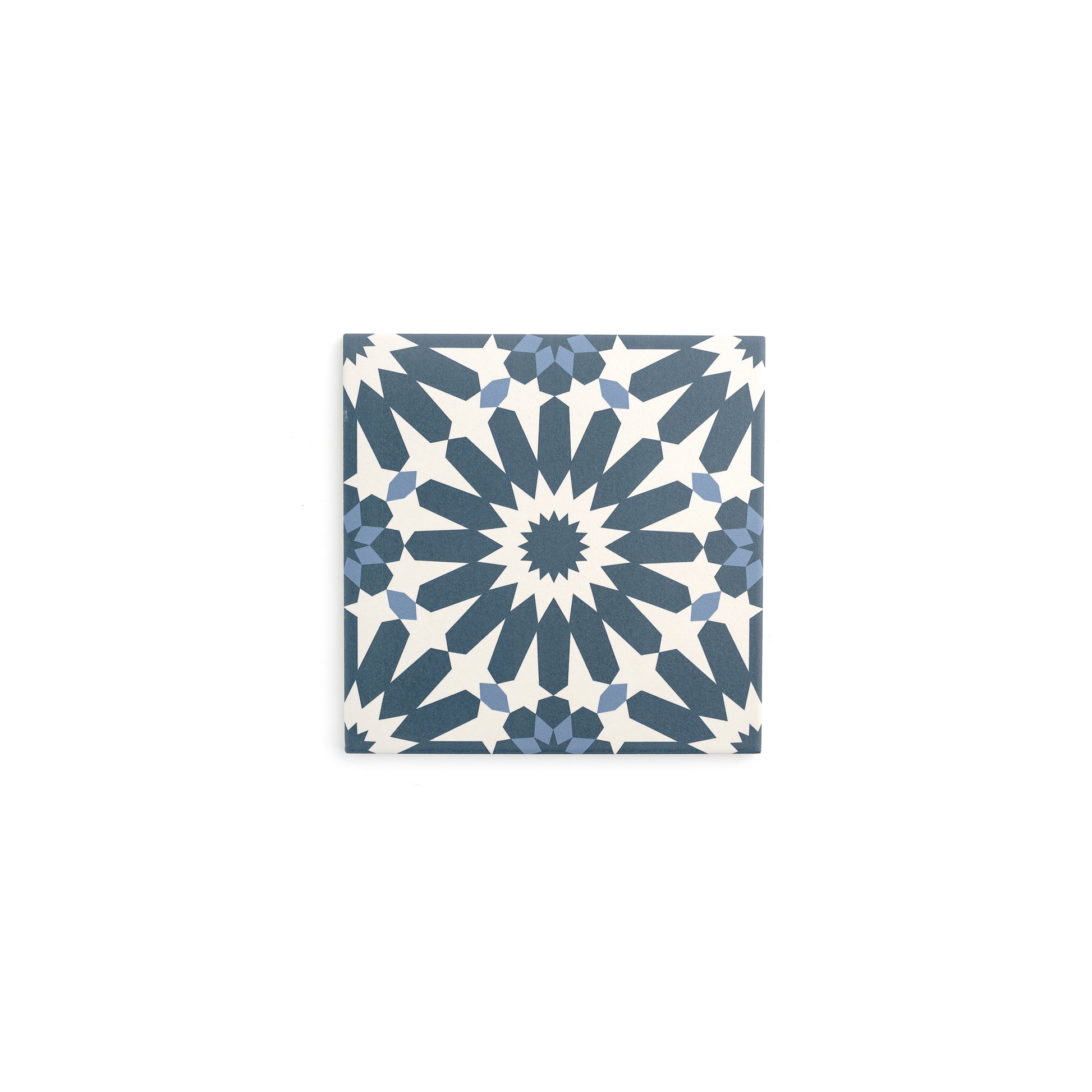 Sample: Erizo Blue Ceramic Tile (1 sample piece)-Sample-Sample-Riad Tile