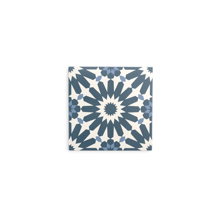 Sample: Erizo Blue Ceramic Tile (1 sample piece)-Sample-Sample-Riad Tile