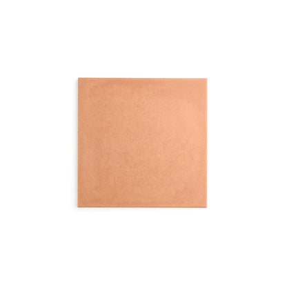 Sample: Terracotta Color 8x8 Ceramic Tile (1 sample piece)-Sample-Sample-Riad Tile