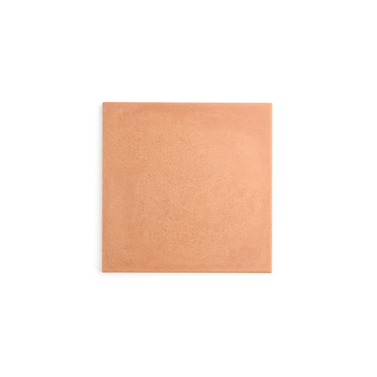 Sample: Terracotta Color 8x8 Ceramic Tile (1 sample piece)-Sample-Sample-Riad Tile