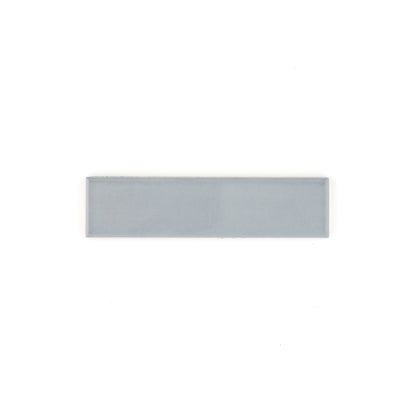 Sample: Grey Street 2x8 Ceramic Tile | Glossy (1 sample tile)-Sample-Sample-Riad Tile