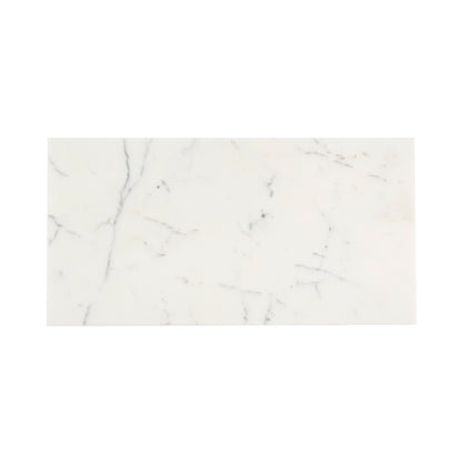 Italian Statuary 12x24 Marble | Honed-Main Inventory-All Products,Natural Stone-Riad Tile
