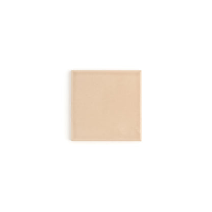 Sample: Khaki 4x4 Ceramic Tile | Glossy (1 sample tile)-Sample-Sample-Riad Tile