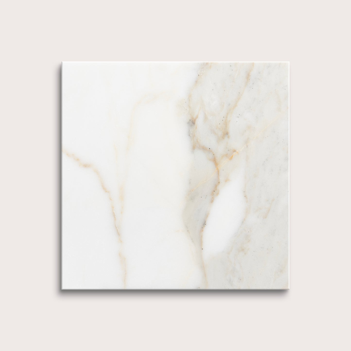 calacatta gold Marble tiles on a light gray background