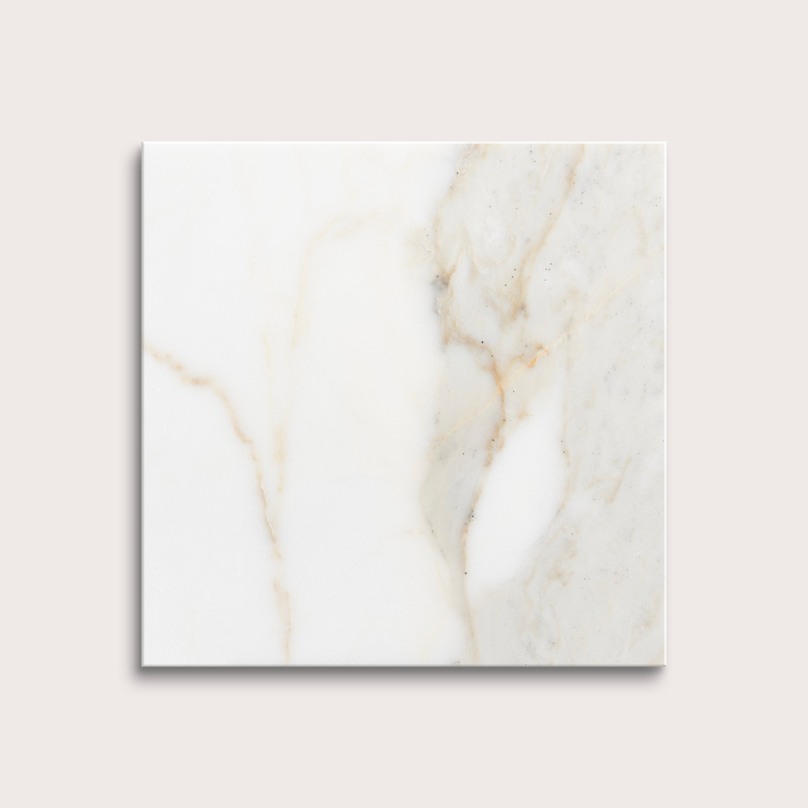 calacatta gold Marble tiles on a light gray background