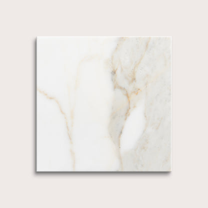 calacatta gold Marble tiles on a light gray background