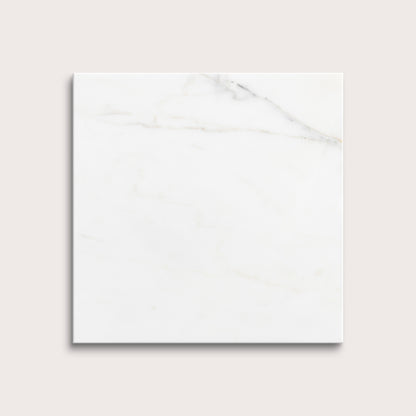 calacatta gold Marble tiles on a light gray background