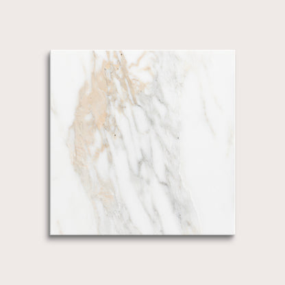 calacatta gold Marble tiles on a light gray background