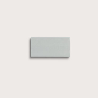Echo ceramic tile, 2 by 4 inches, matte finish
