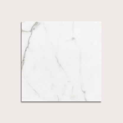 italian statuary white and grey marble tiles  on a light gray background