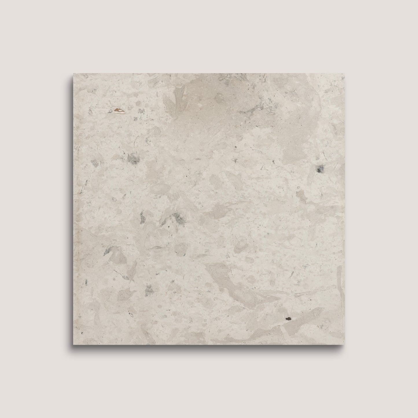Square limestone tile with a beige and brown speckled pattern on a light gray background