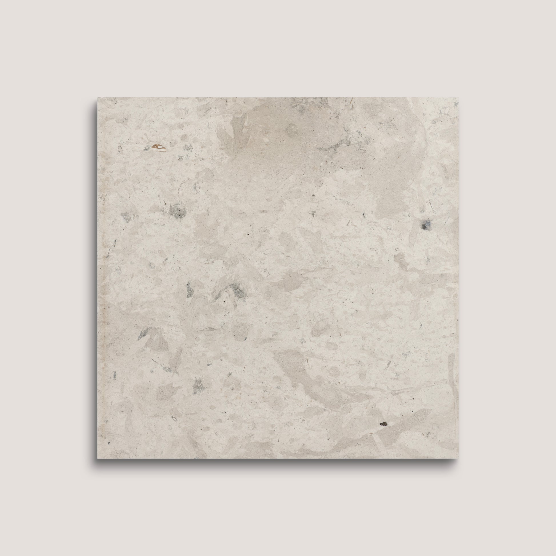 Square limestone tile with a beige and brown speckled pattern on a light gray background