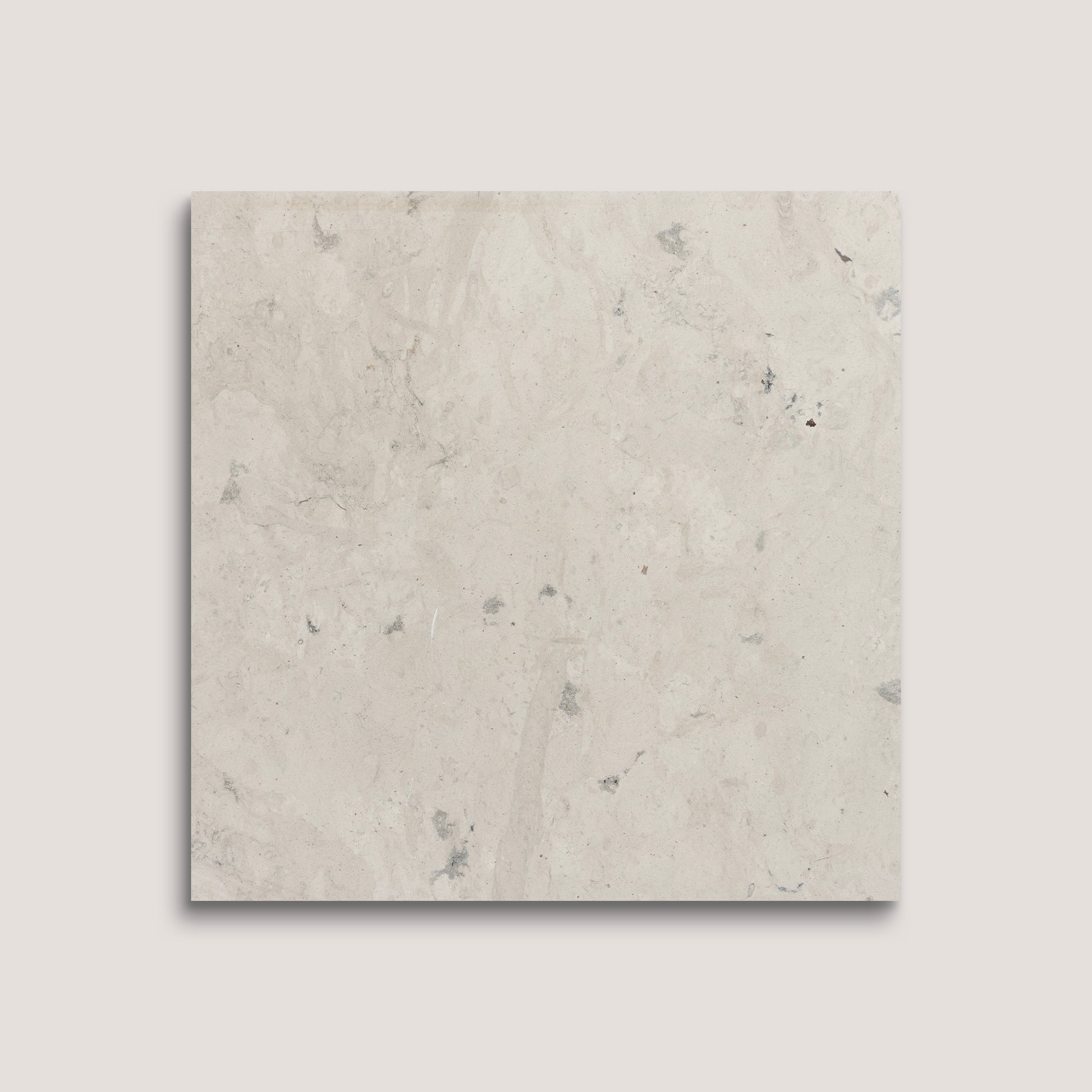 Square tile with a light gray marble pattern on a white background