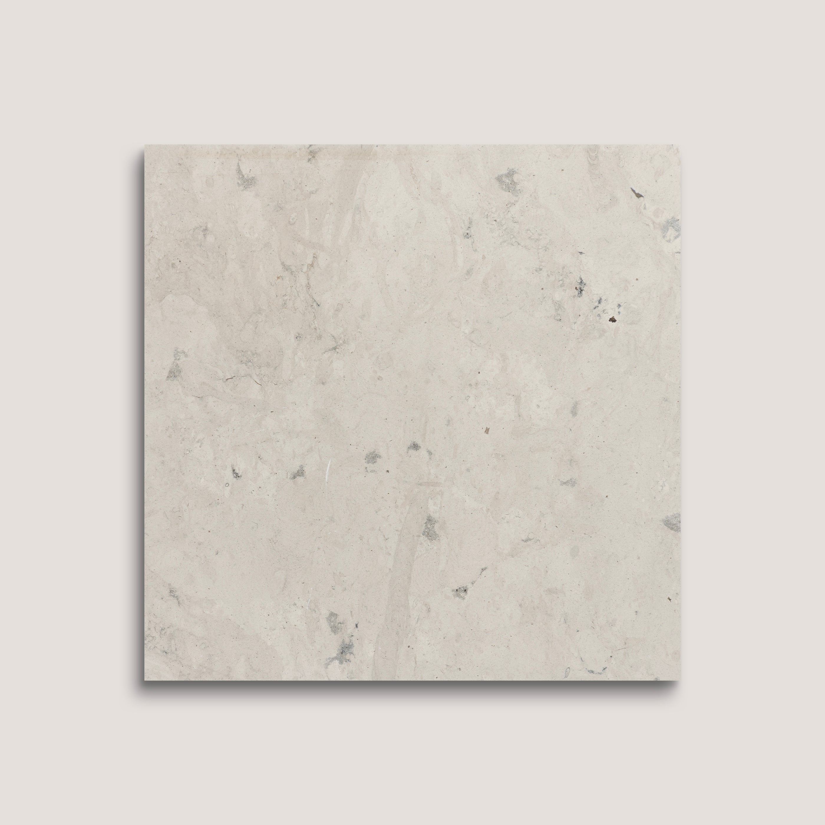 Square tile with a light gray marble pattern on a white background