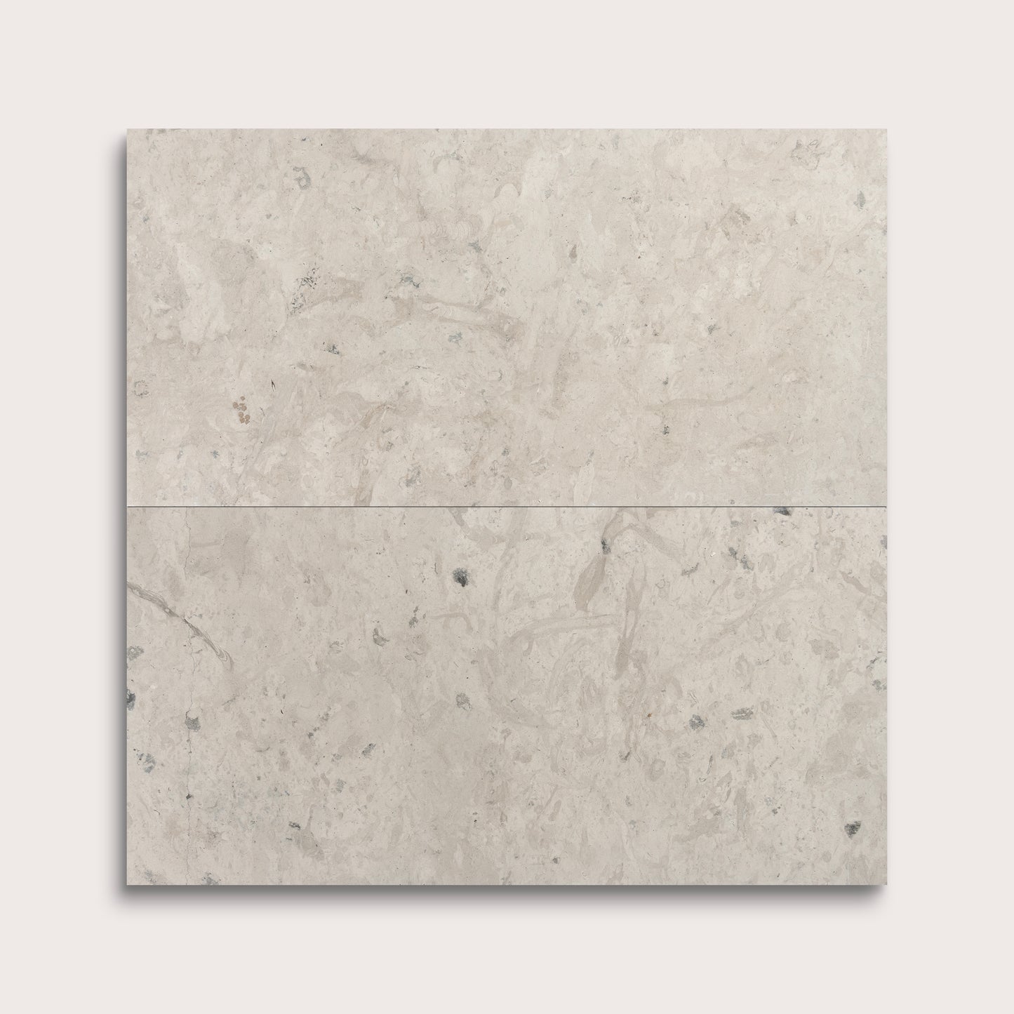 Gray limestone tile on a white background