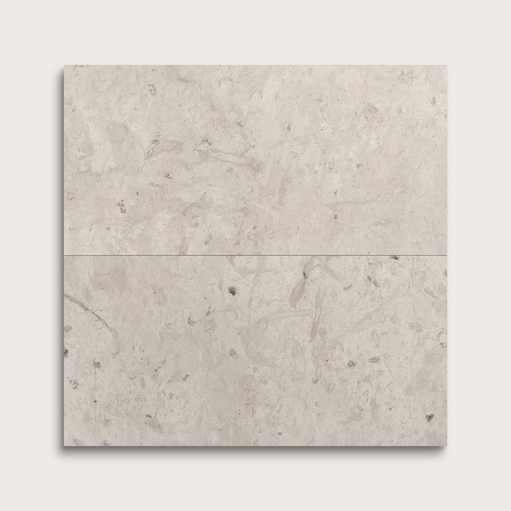 Gray limestone tile on a white background