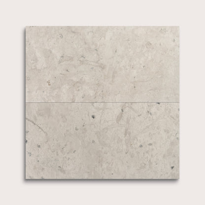 Gray limestone tile on a white background