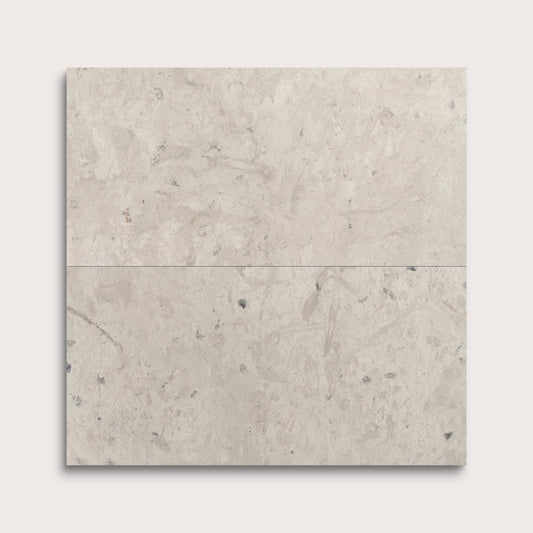 Gray limestone tile on a white background