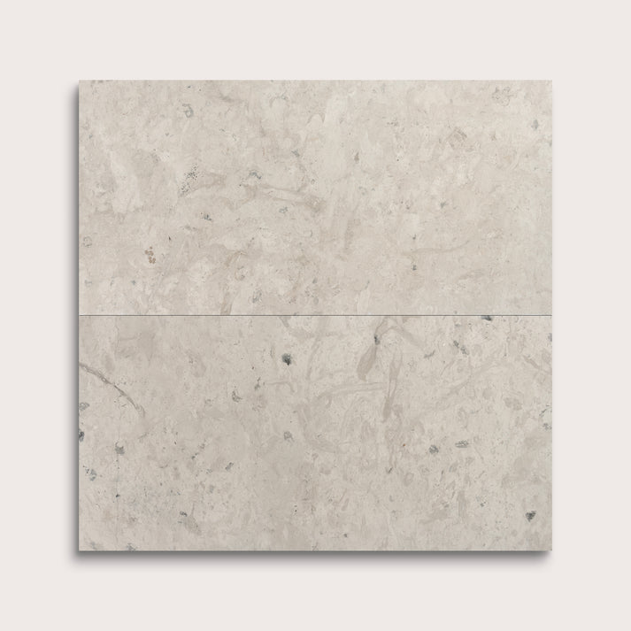 Gray limestone tile on a white background