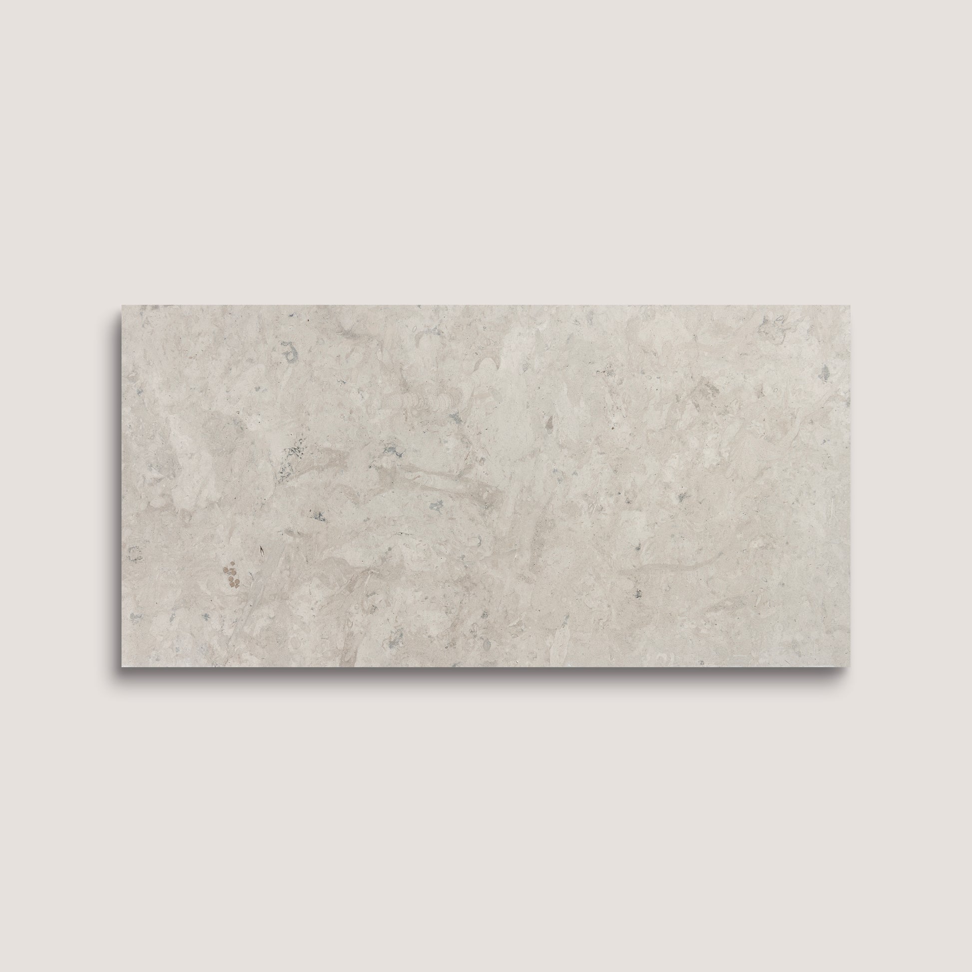 Rectangular limestone tile on a light gray background