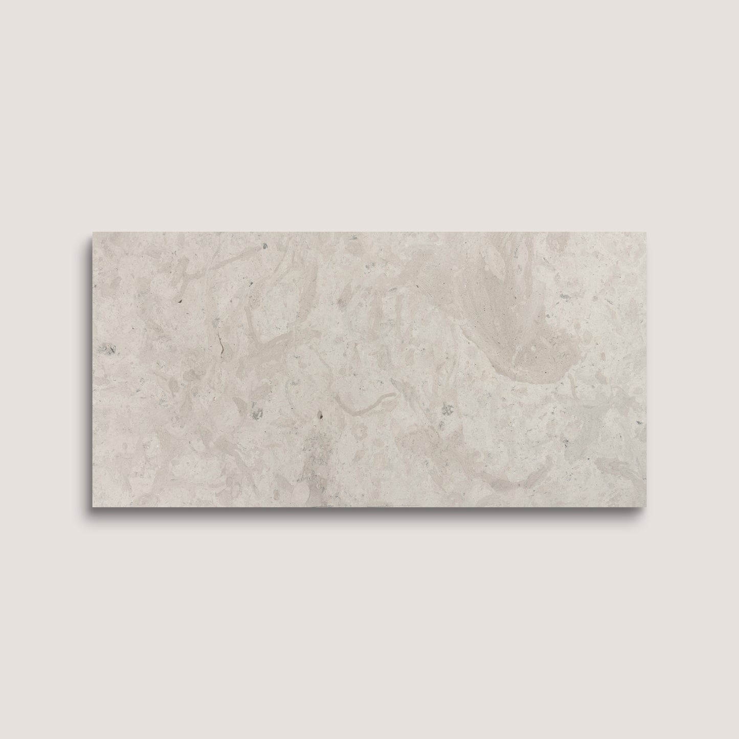 Rectangular limestone tile on a light gray background