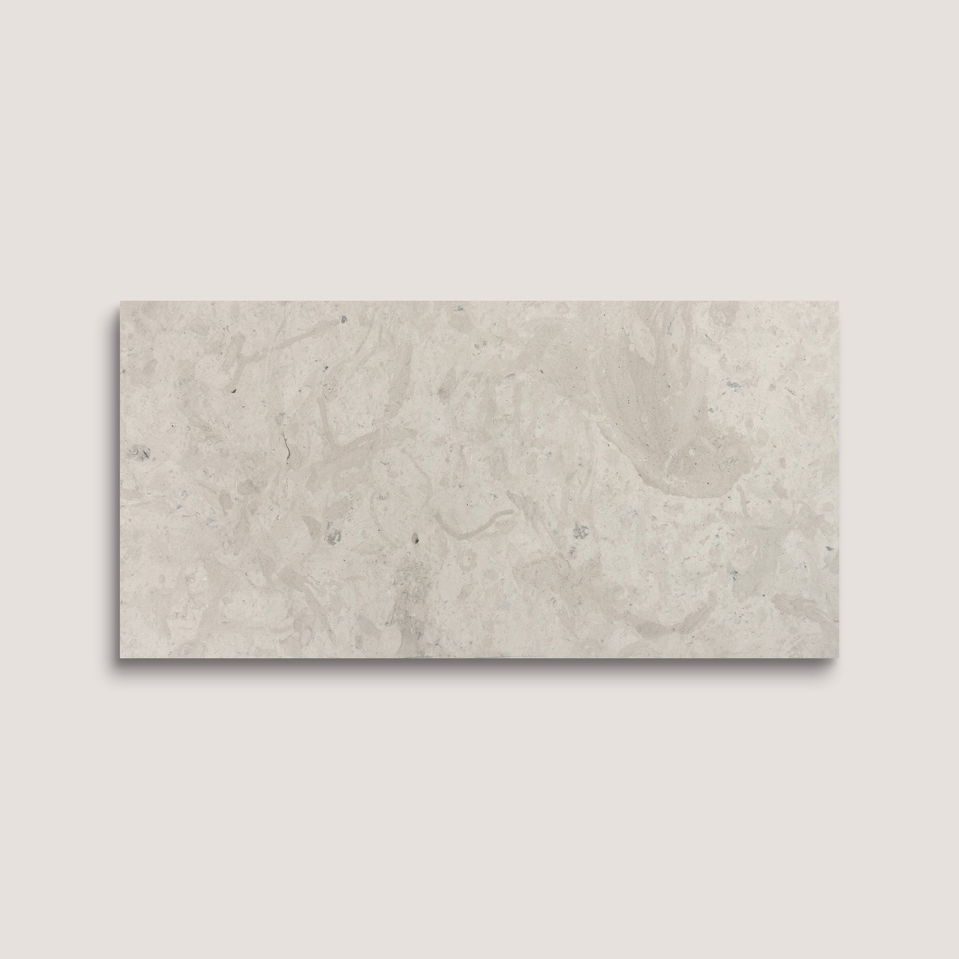 Rectangular limestone tile on a light gray background