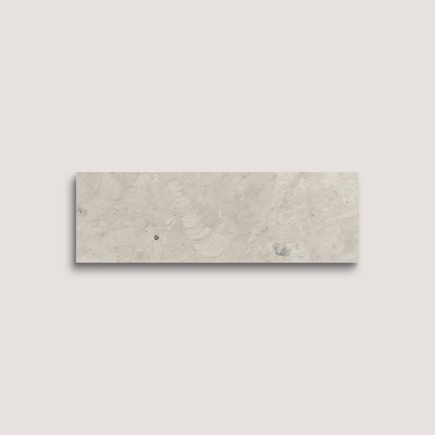 grey limestone rectangle tile on a white background