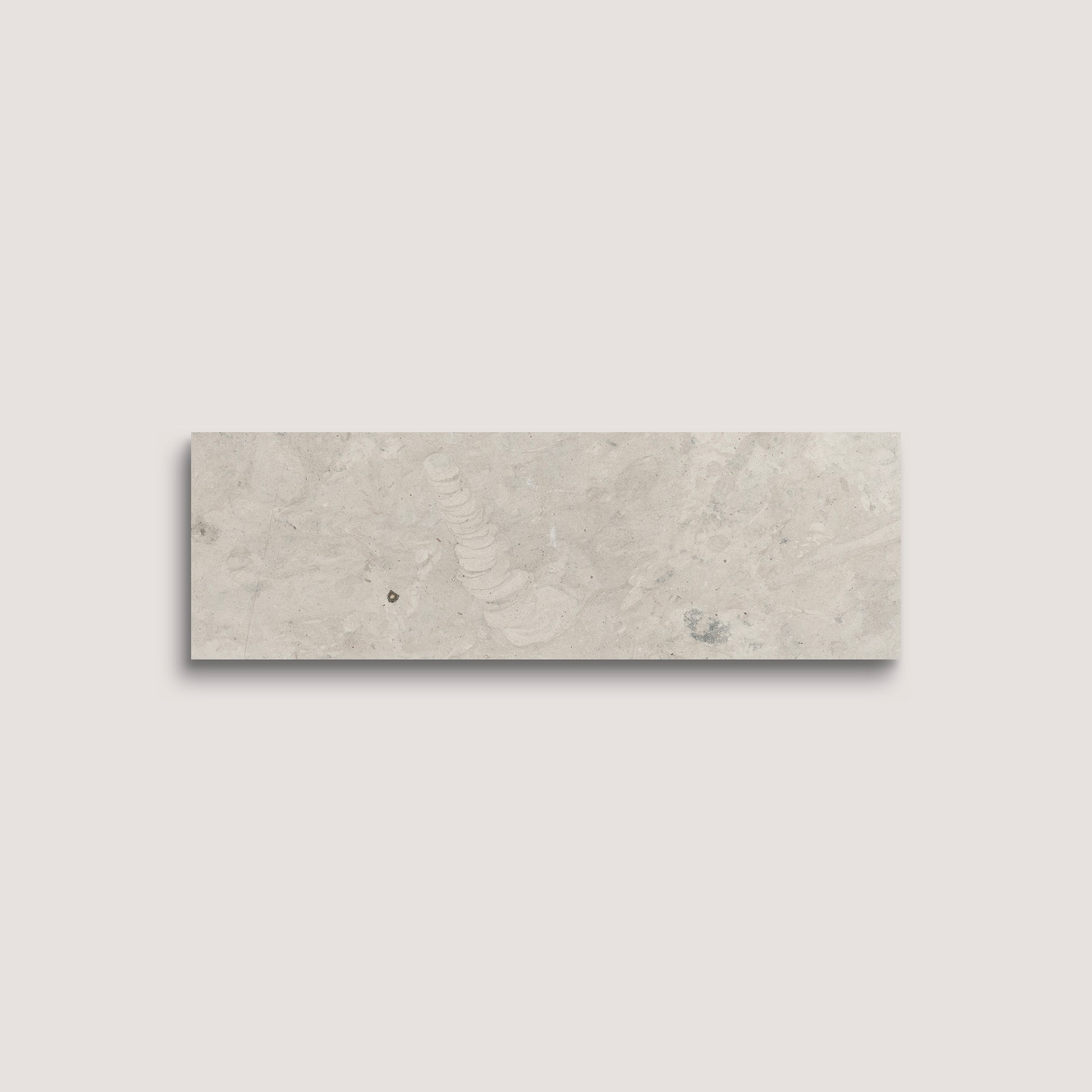grey limestone rectangle tile on a white background
