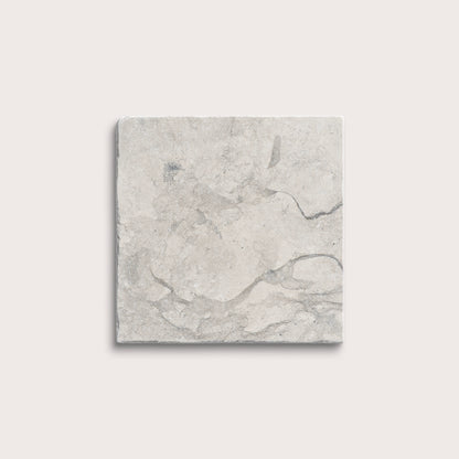 Gray limestone tile on a white background