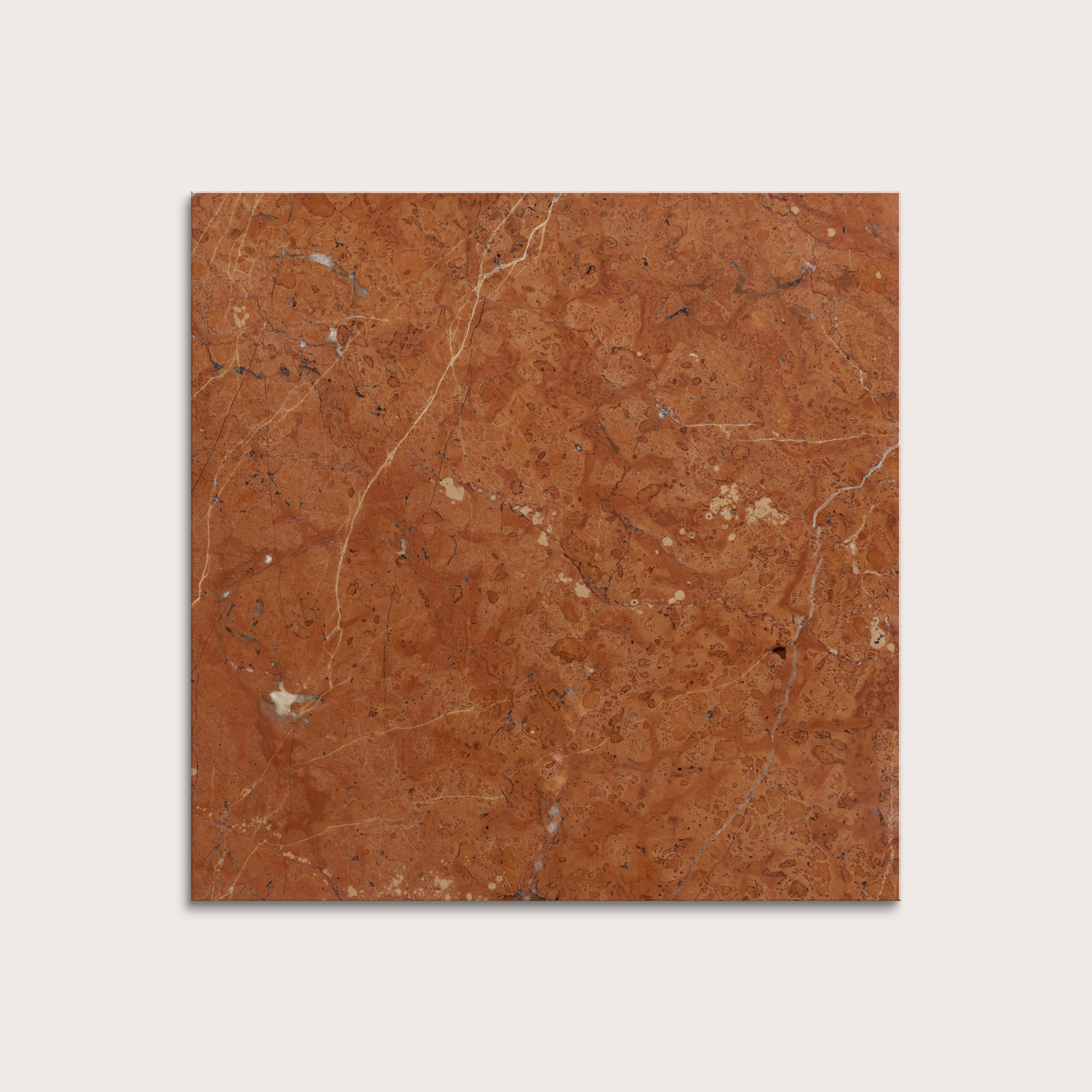 Brown marble tile with visible veins on a light gray background