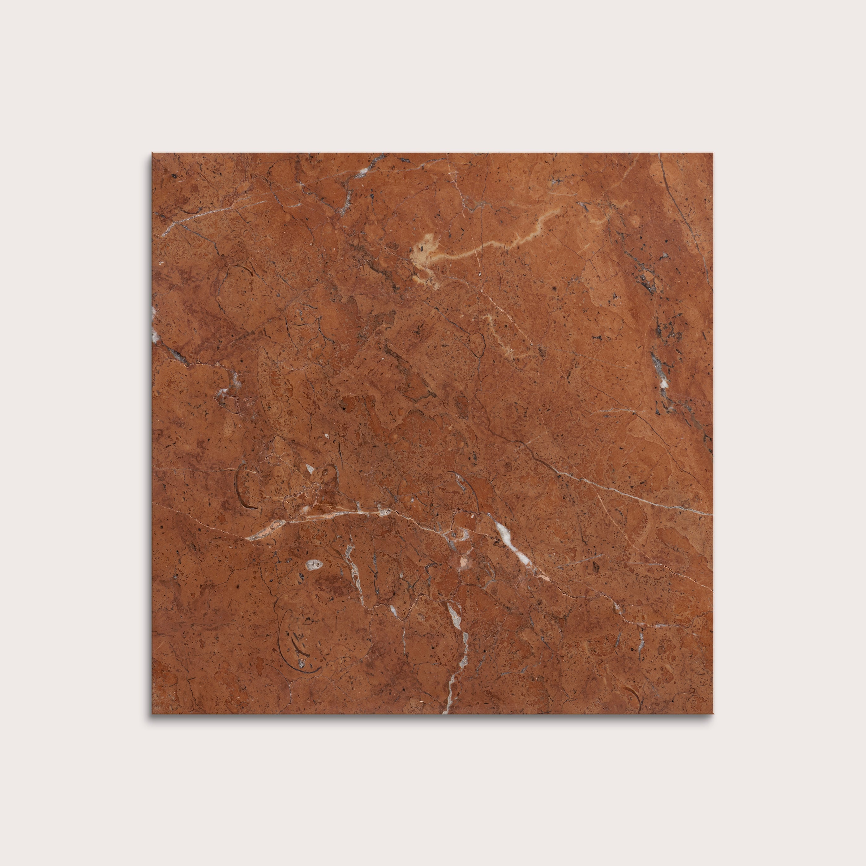 Brown marble tile on a light gray background