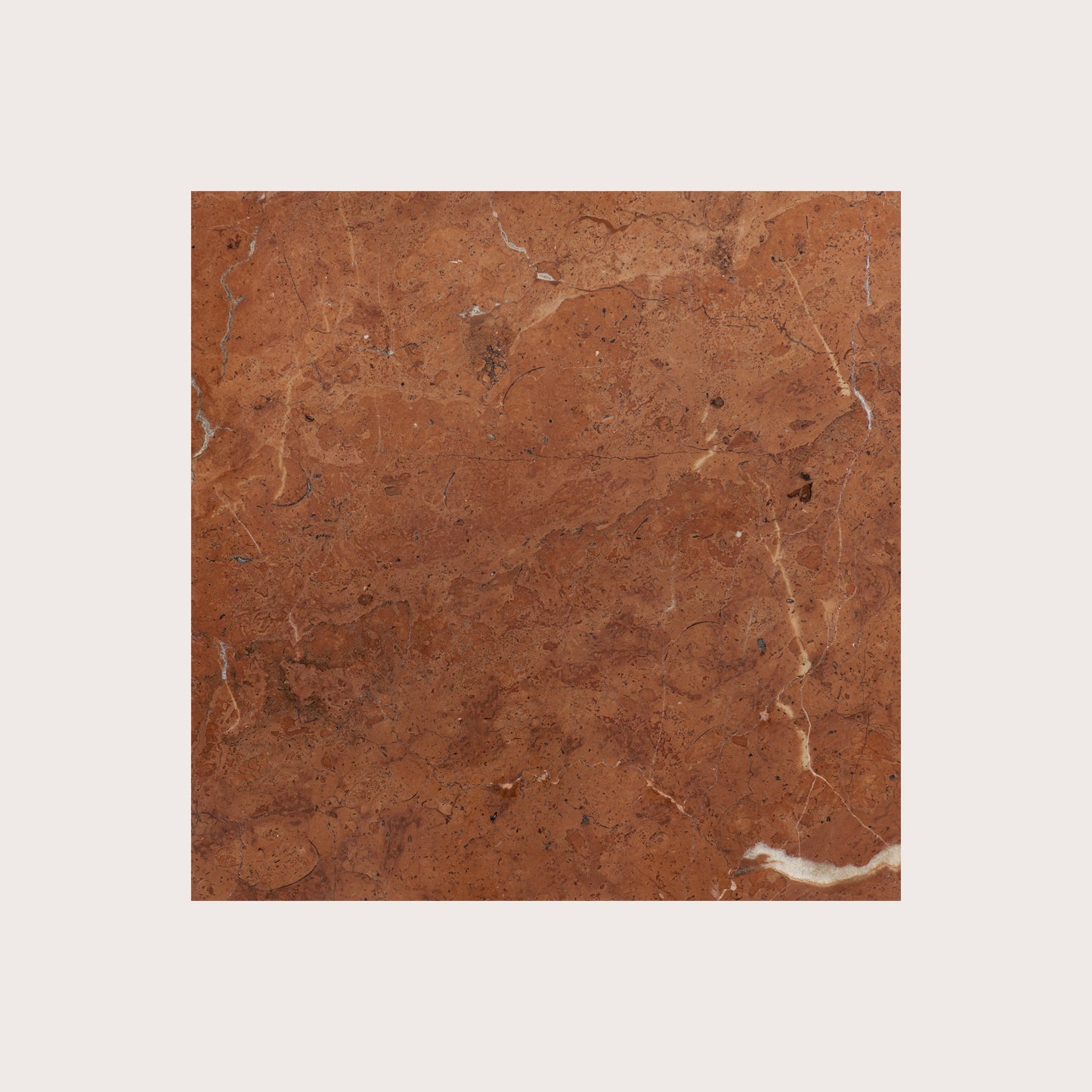 Brown marble tile with a subtle pattern on a white background