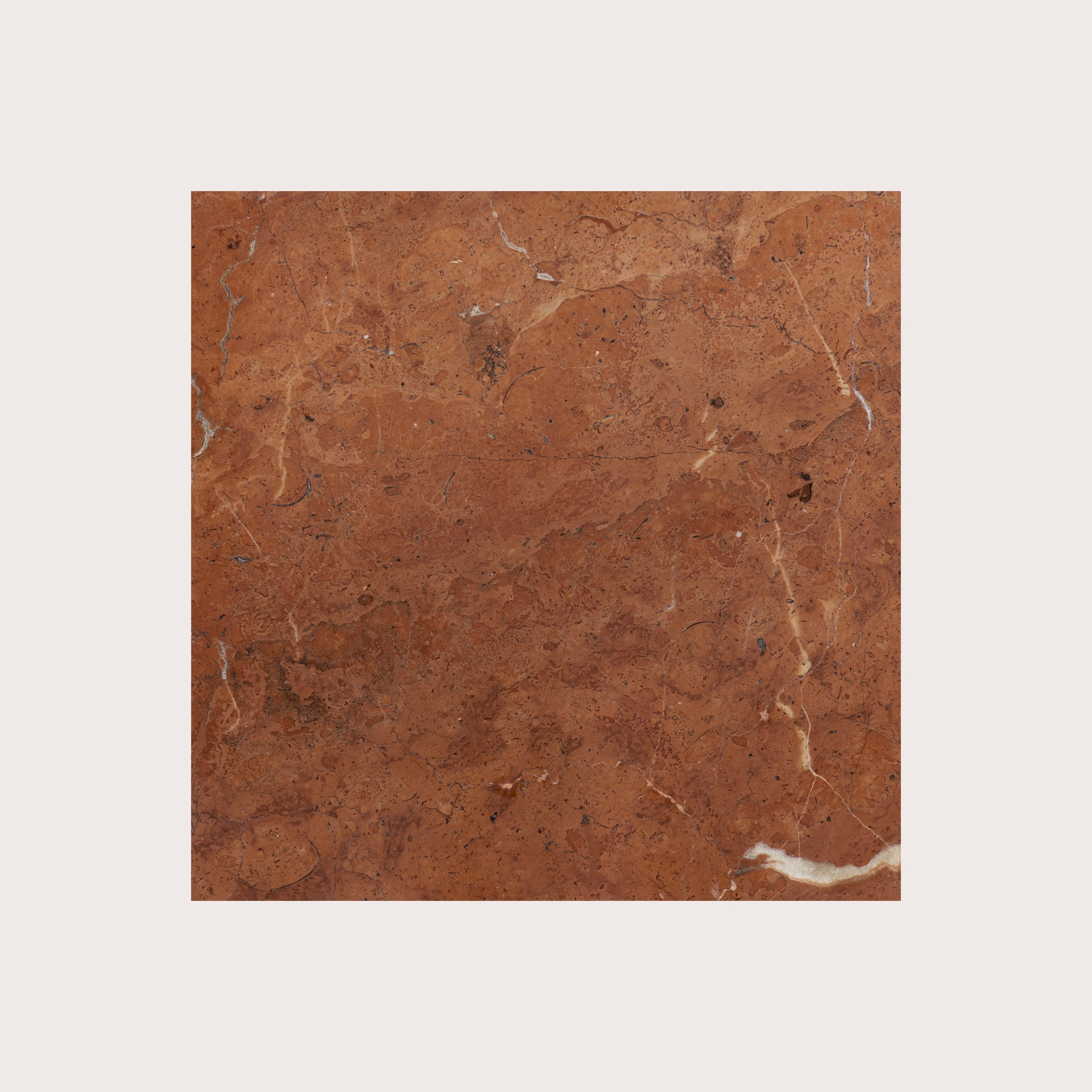 Brown marble tile with a subtle pattern on a white background