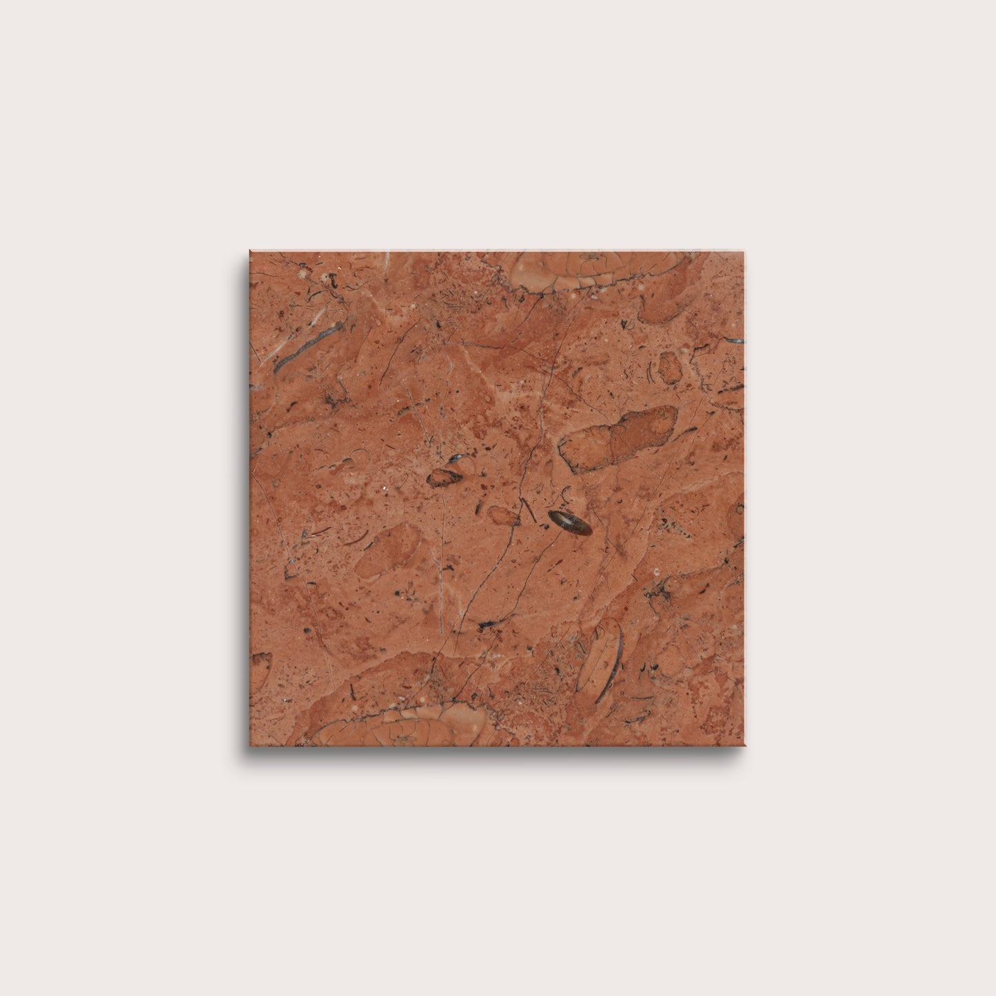 brown marble tiles on a white background