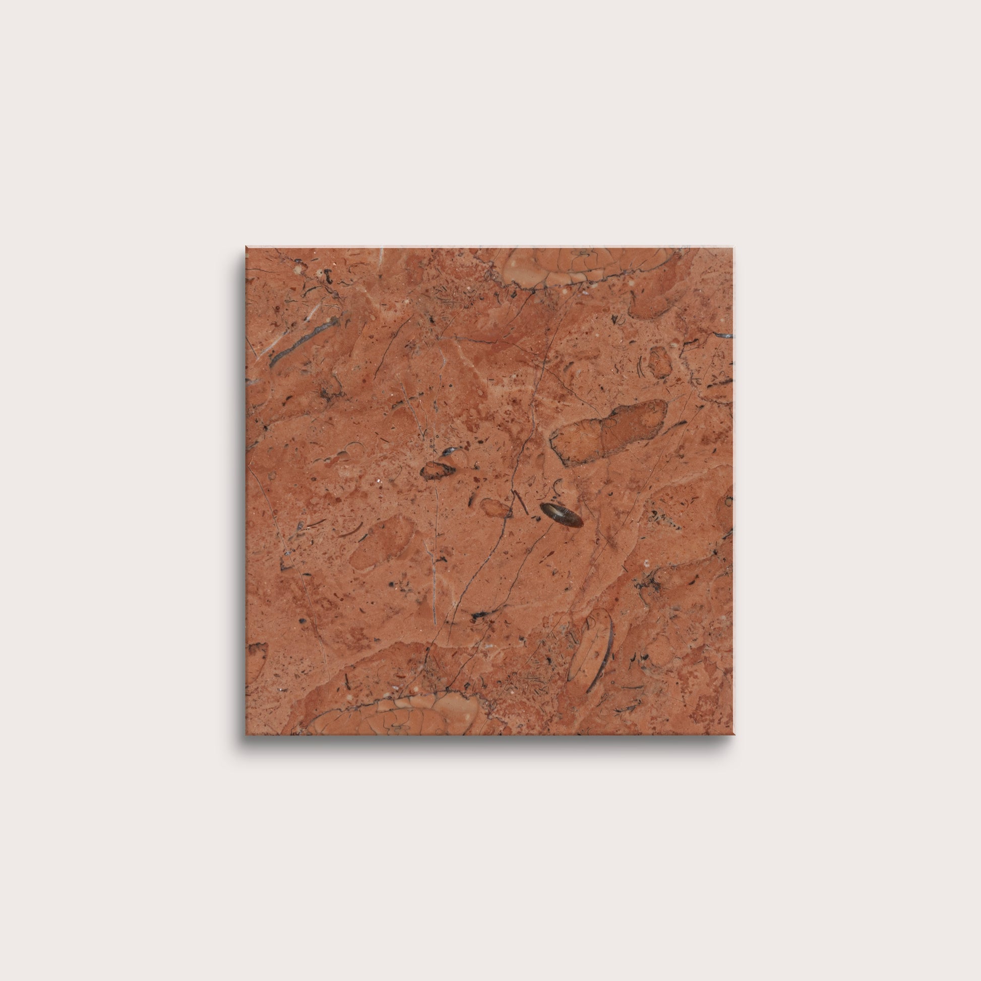 brown marble tiles on a white background