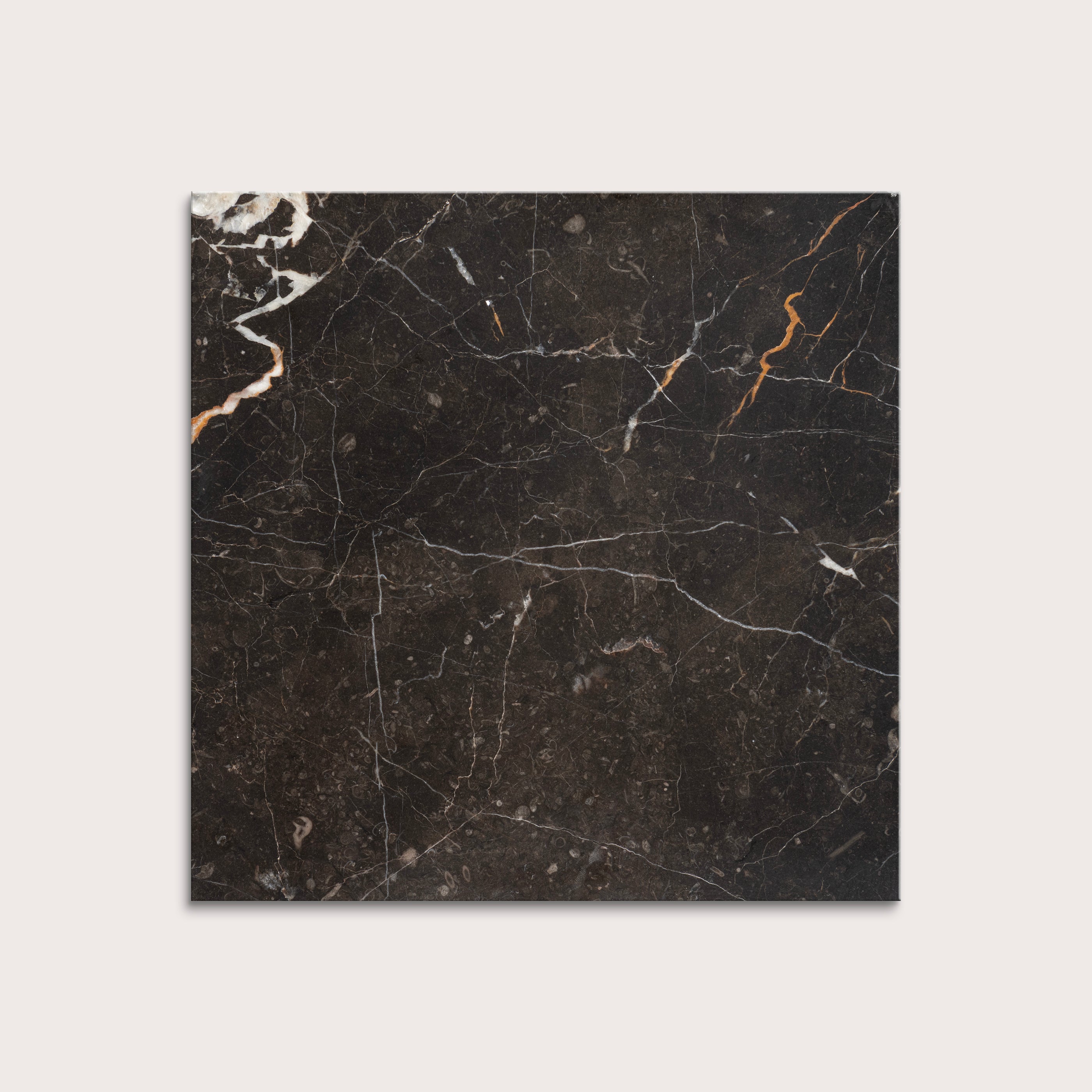 brown marble tiles with visible veins on a white background