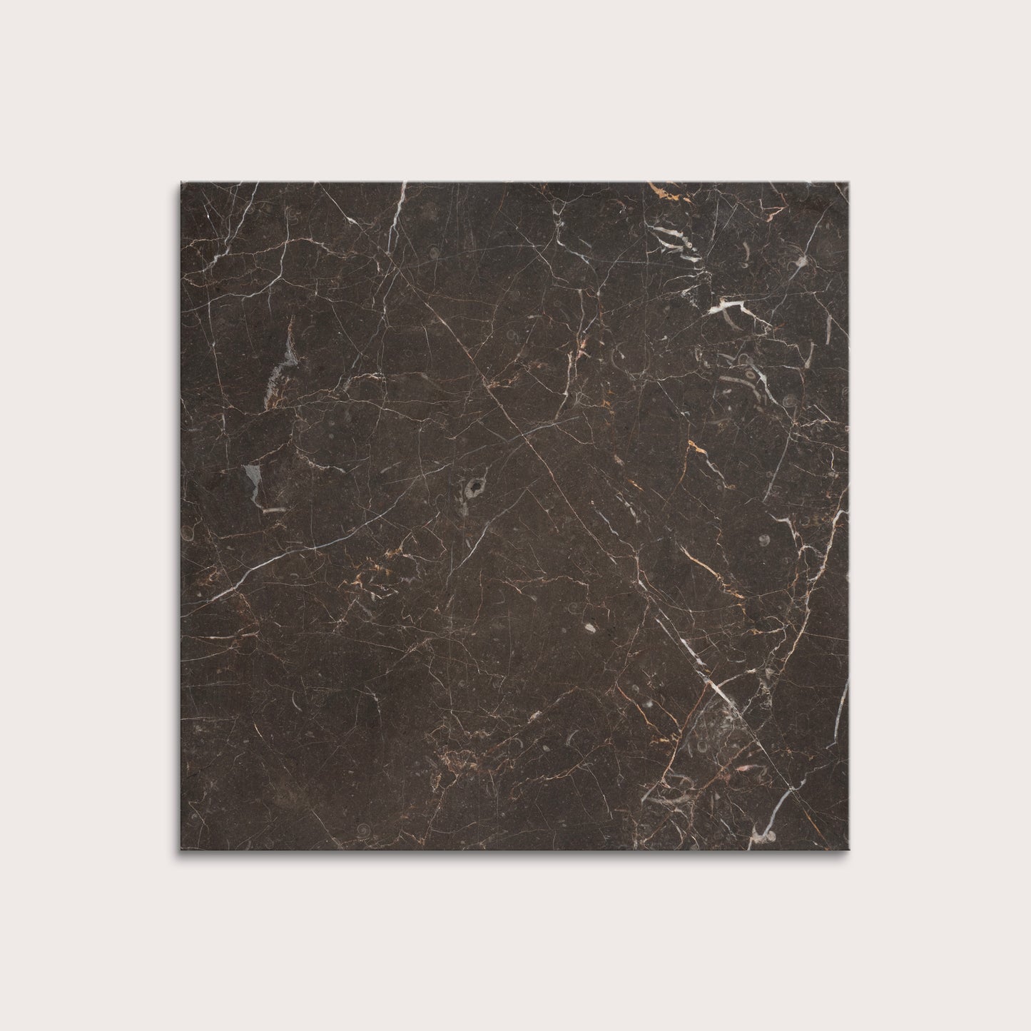 brown marble tiles with visible veins on a white background